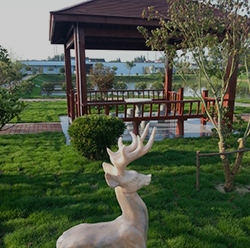 園林綠化工程設(shè)計(jì)及施工