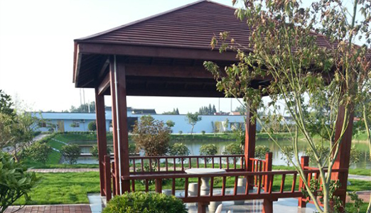 園林綠化施工填土技術(shù)以及種植穴要求