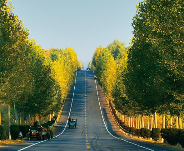 高速公路綠化
