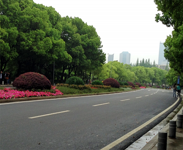公路綠化施工